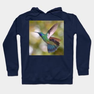 Green Violetear Hummingbird Hoodie